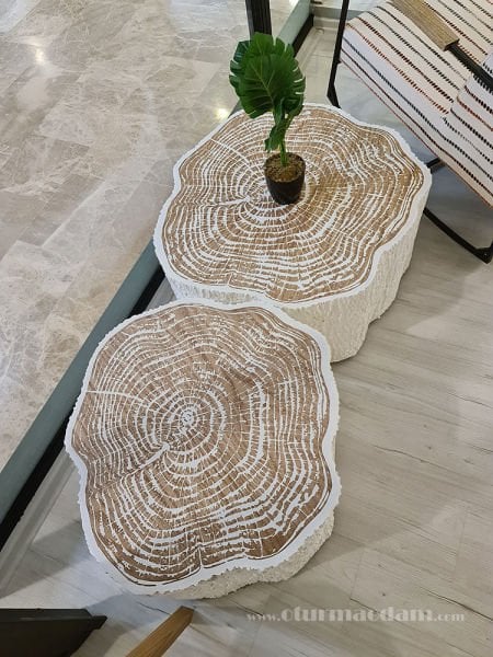 Beyaz Ağaç Orta Sehpa