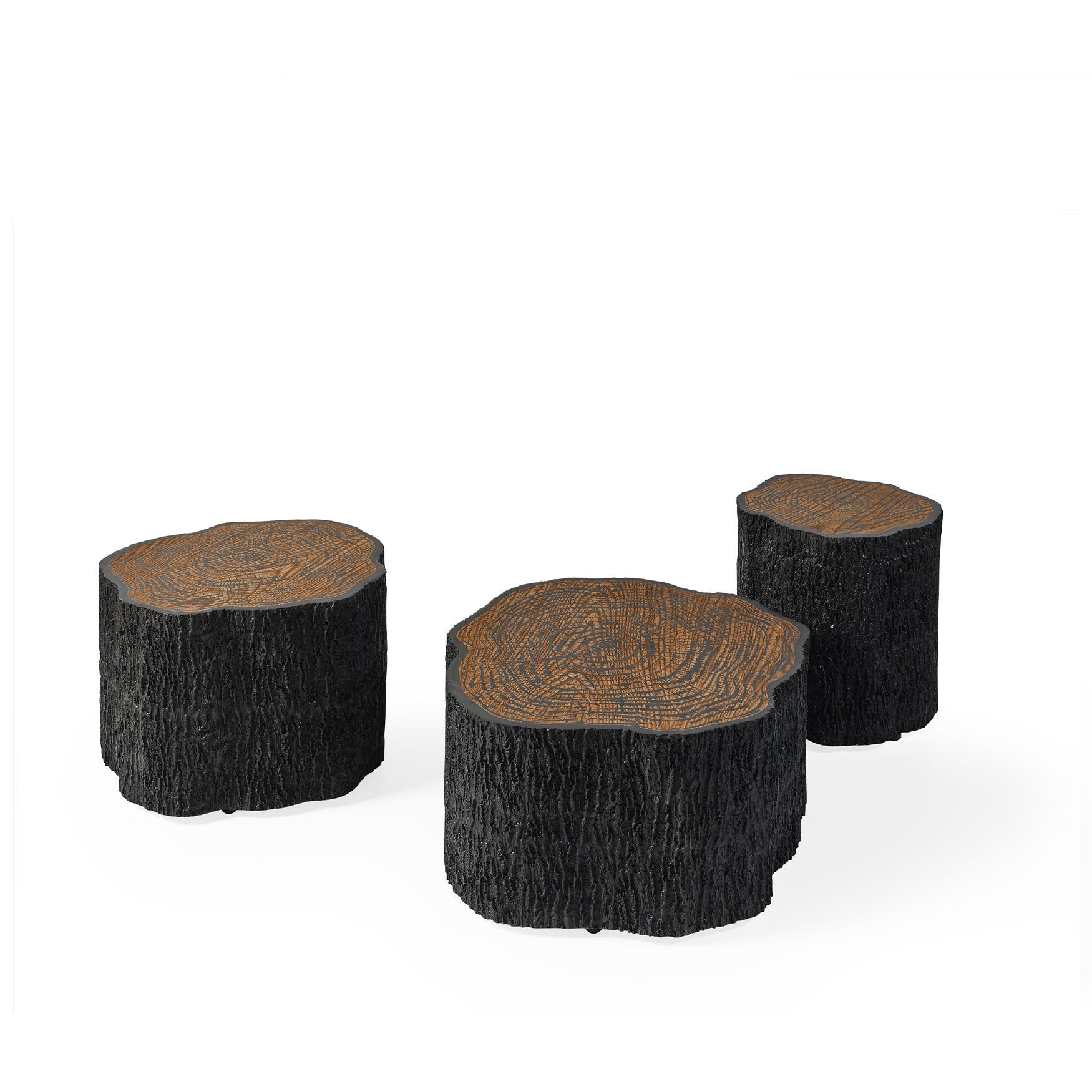 Siyah Ağaç Orta Sehpa