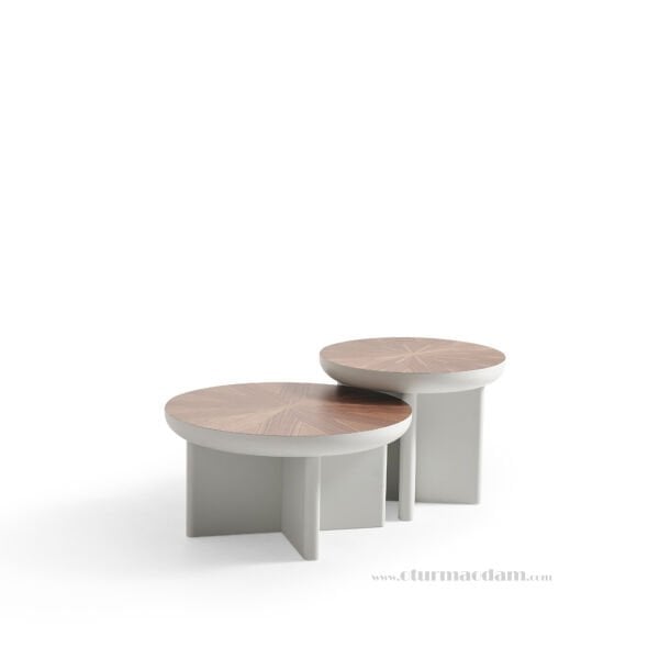 Artı İkili Orta Sehpa