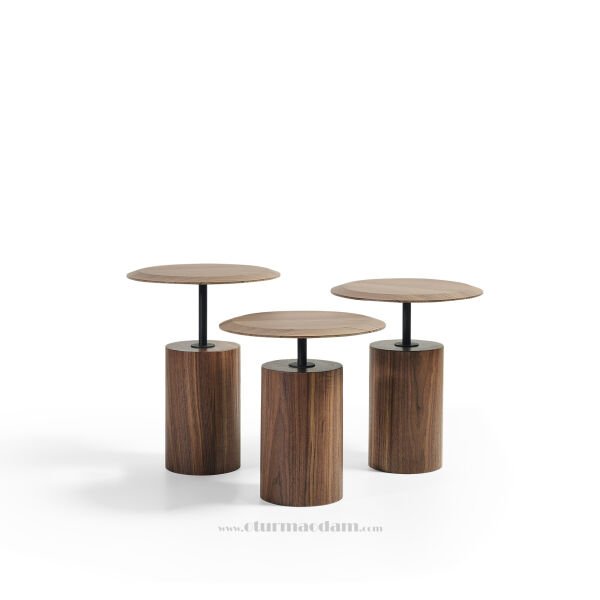 Ceviz Mantar Zigon Sehpa