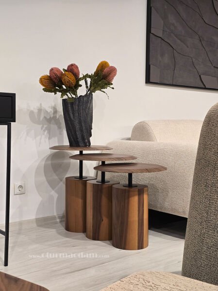 Ceviz Mantar Zigon Sehpa